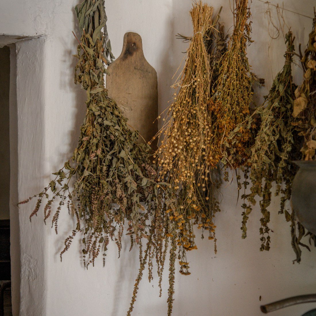 Dried herbs prepared for seasonal formulations